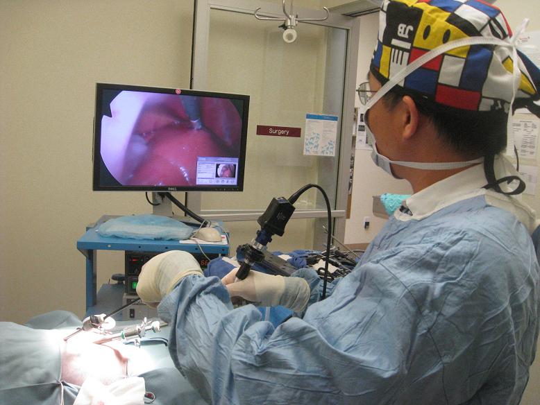 Dr. Song Doing Surgery Dr. Song Doing Surgery