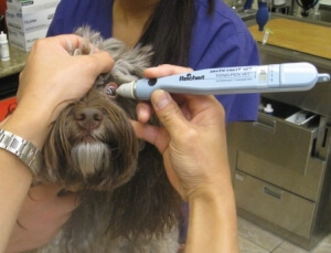 Glaucoma